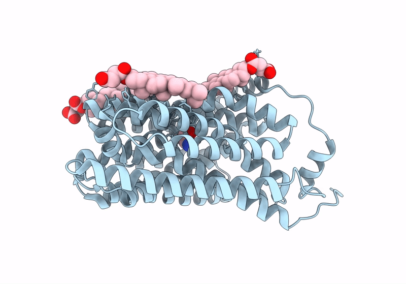 8UBX image