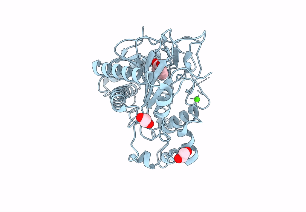 8UC2 image