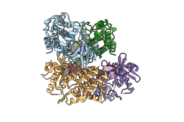 8UCB image