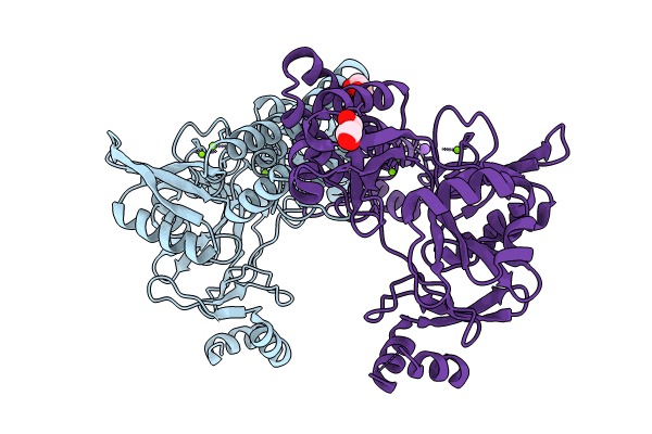8UCG image