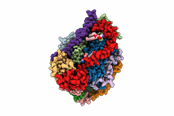 8UCP image