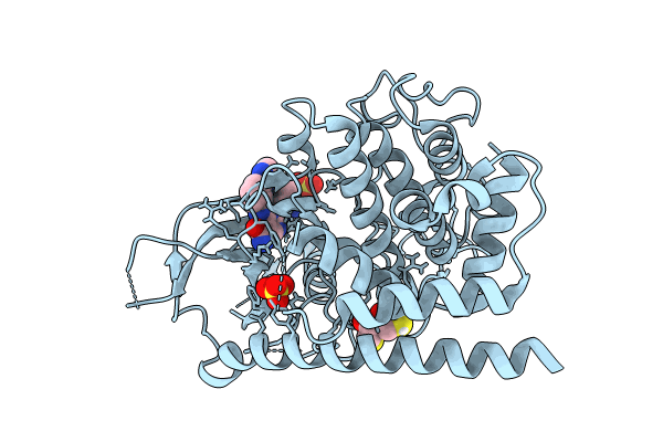 8UCT image