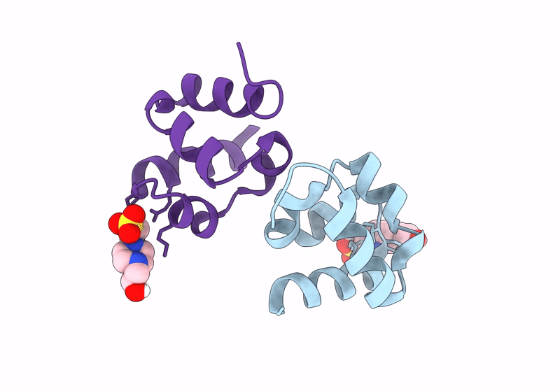 8UD0 image