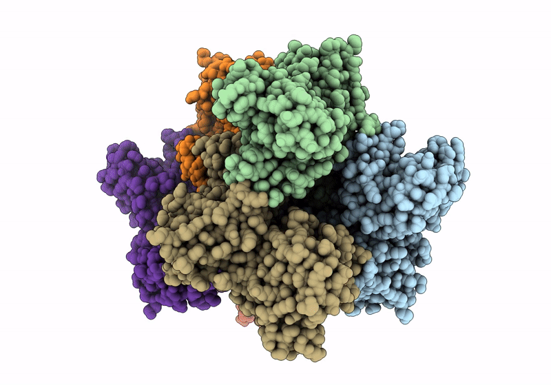 8UD2 image