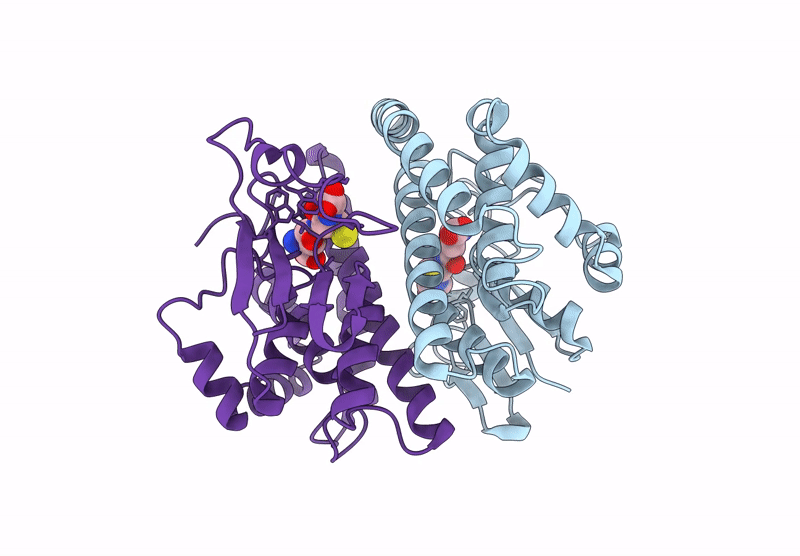 8UDB image