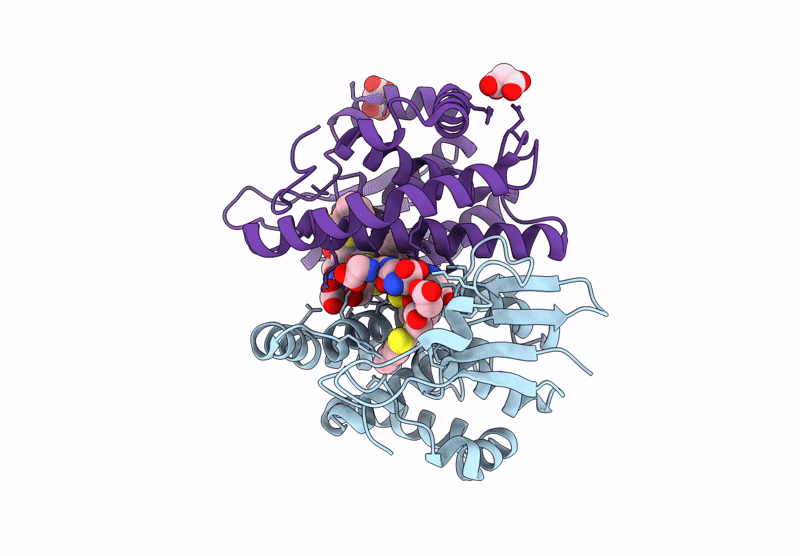 8UDH image