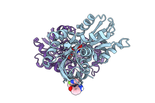 8UDI image