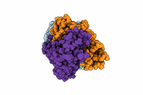 8UDR image