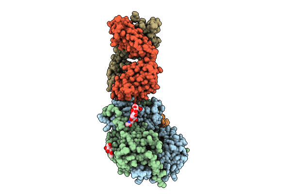 8UDZ image