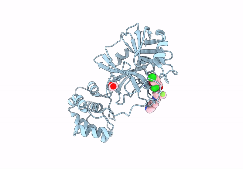 8UEB image