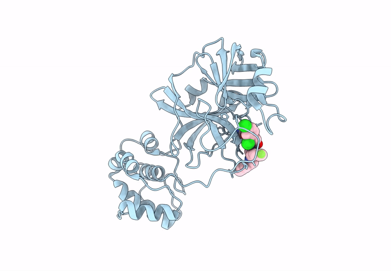 8UEG image