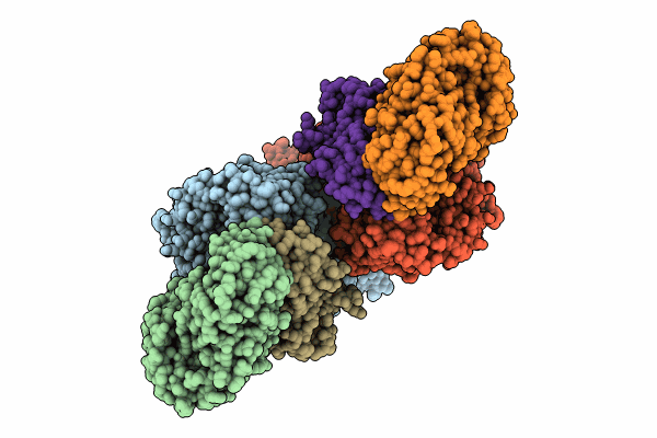 8UEM image