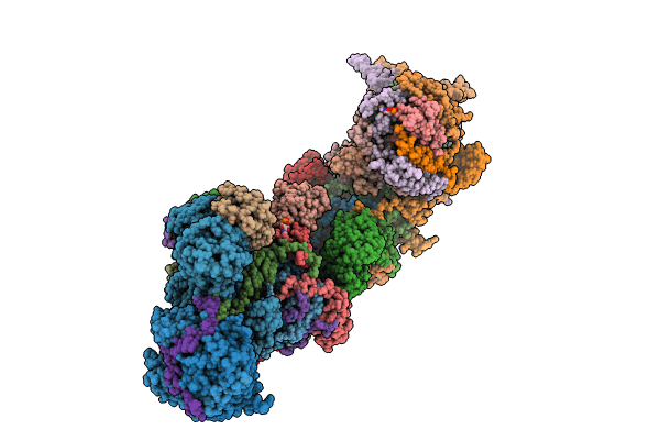8UEX image