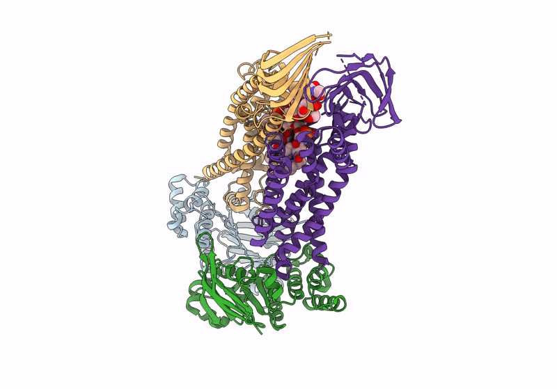 8UFG image