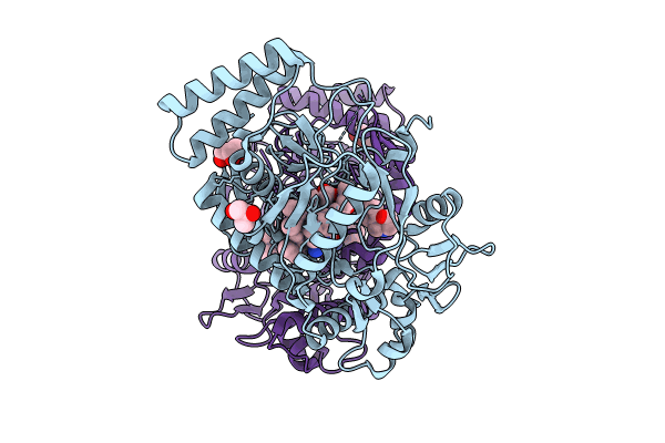 8UFP image