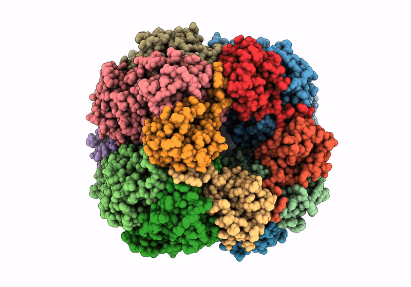 8UHI image