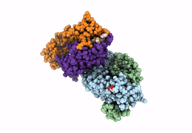 8UHP image