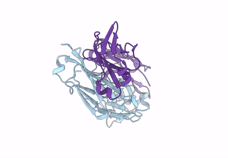 8UHT image