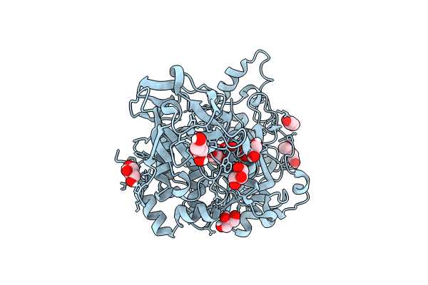 8UHV image