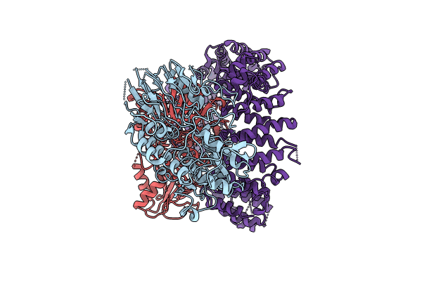 8UIB image