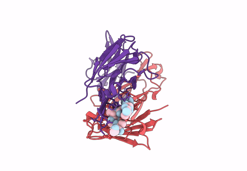 8UIG image