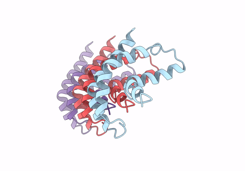 8UIP image