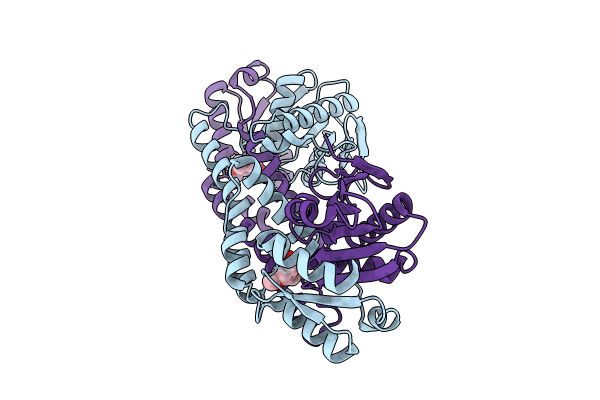 8UIX image