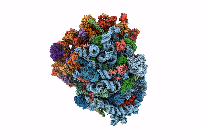 8UJB image