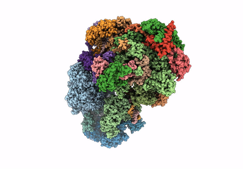 8UMH image