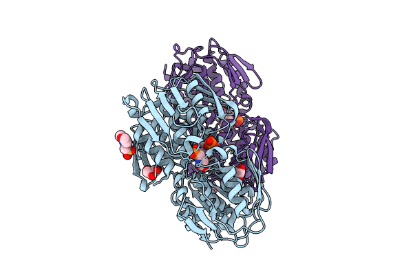 8UMN image