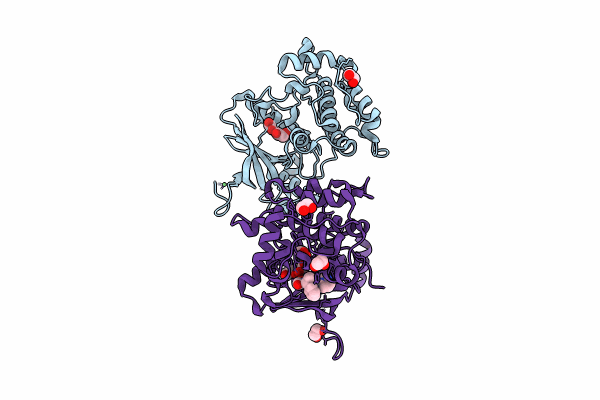 8UOH image