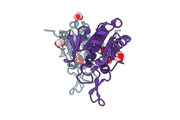 8UOR image