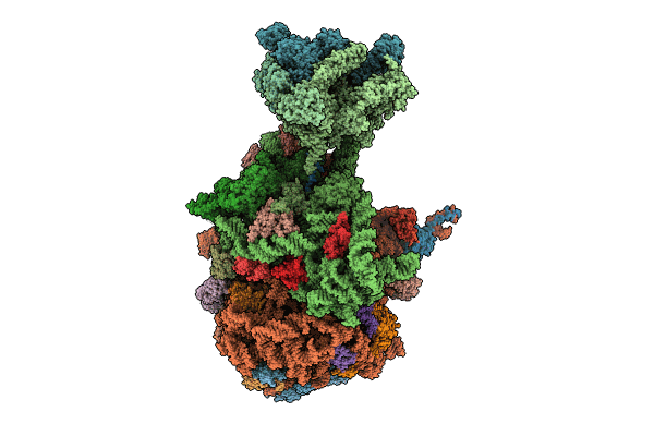 8UPR image