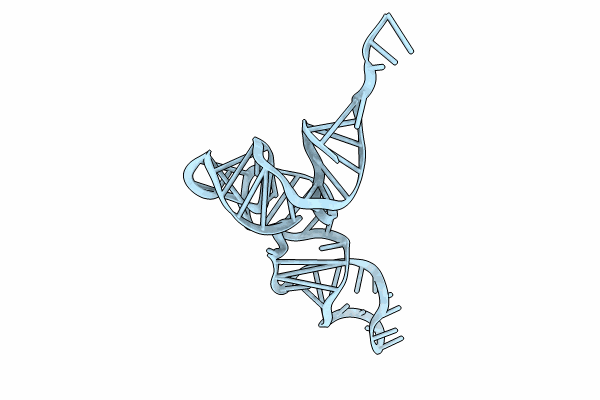 8UPT image