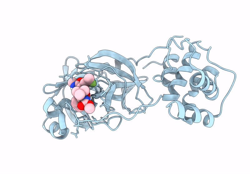8UPV image
