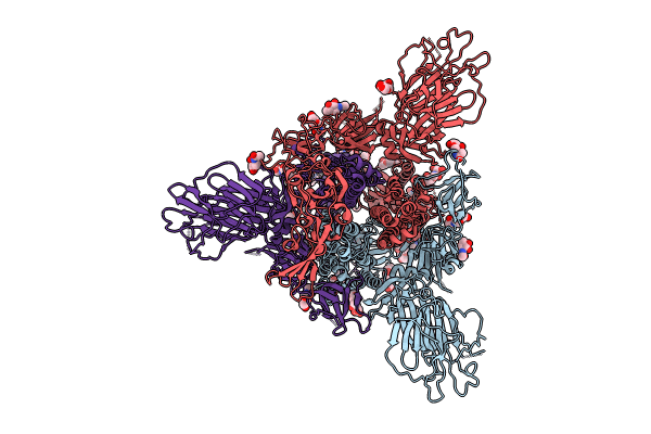 8UPX image