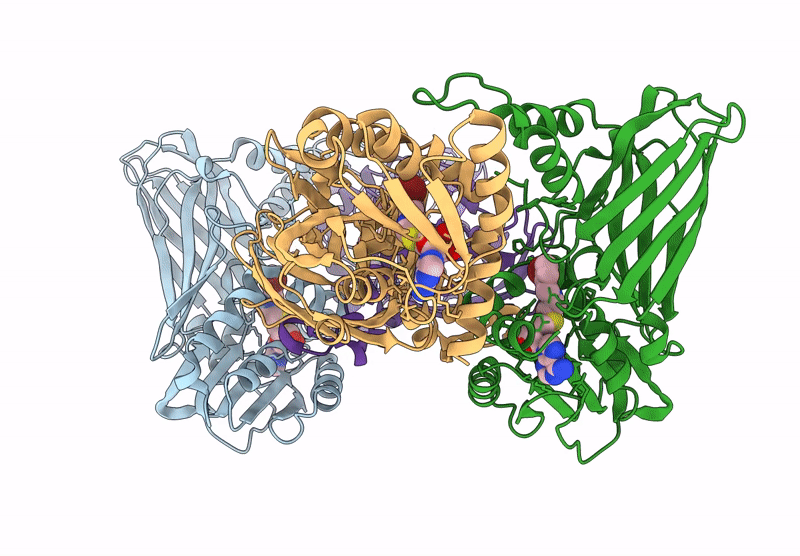 8UQH image