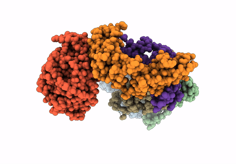 8URO image