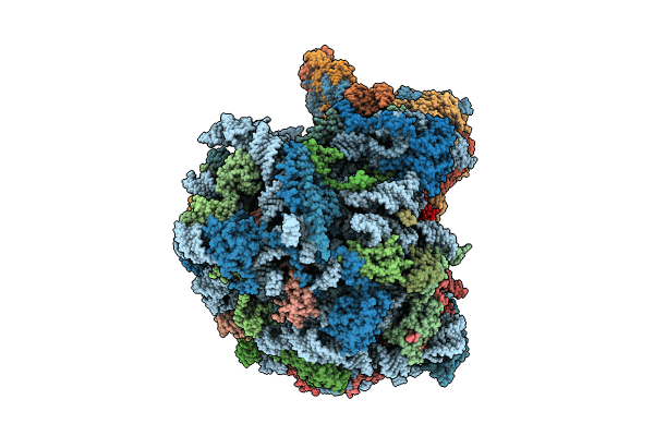 8UTI image