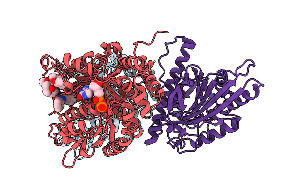 8UTS image