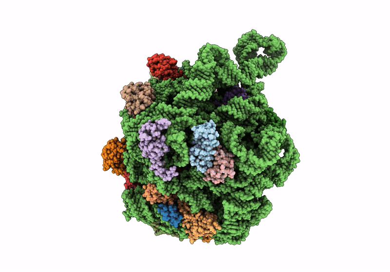 8UUA image