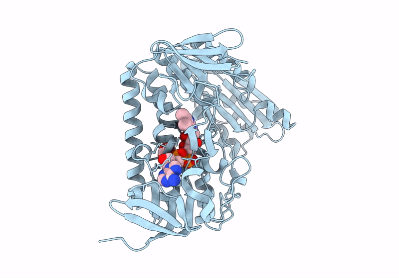 8UUB image