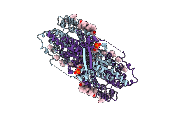 8UUK image