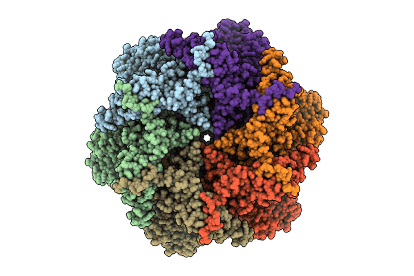 8UV2 image