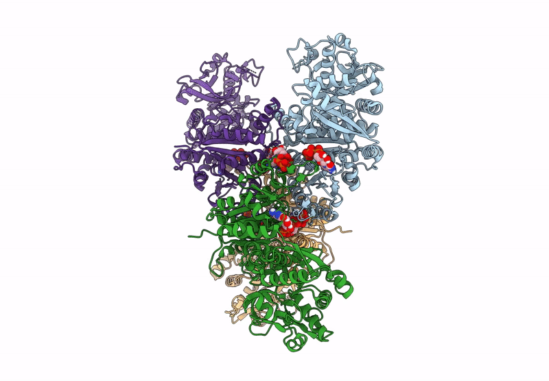 8UV8 image
