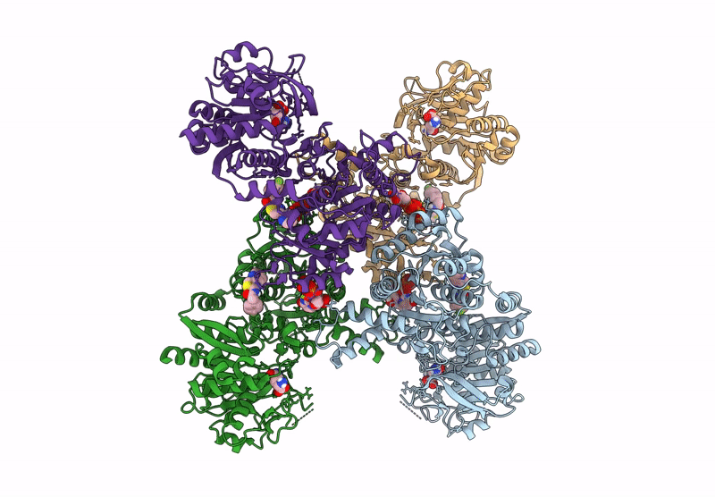 8UV9 image