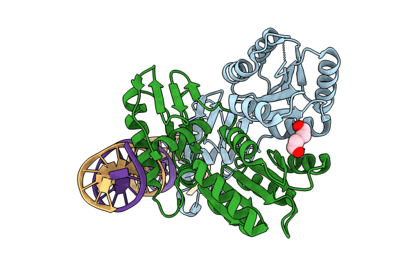 8UVK image