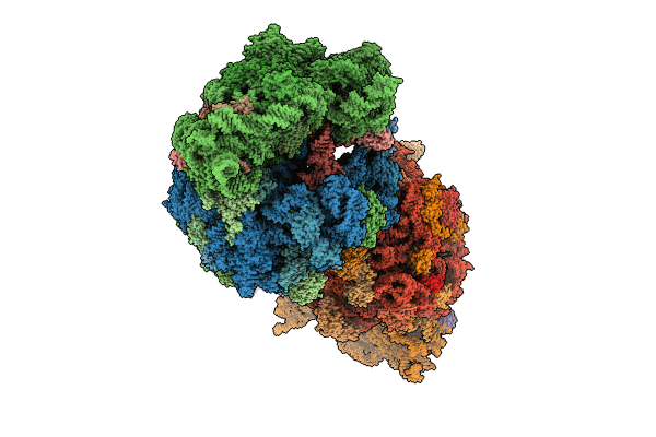 8UVS image