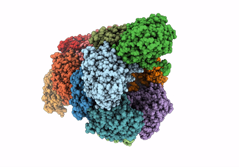 8UXU image