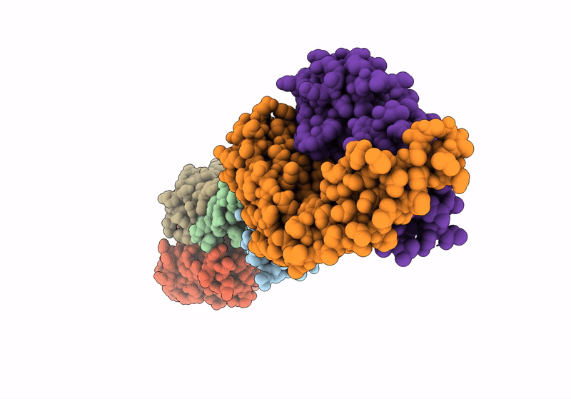 8V52 image